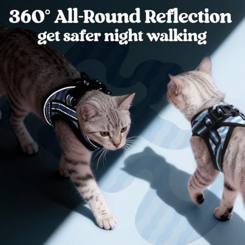 Image of rabbitgoo Cat Harness and Leash Set, Step-in Soft Vest, Blue Wave | Escape Proof, Lightweight, Easy-on & Adjustable, Hook & Loop with Buckle, Reflective, for Kittens & Small Cats Walks, M