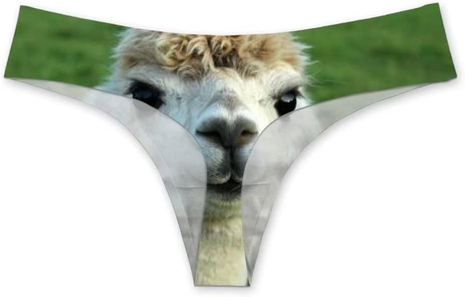 Dellukee Women's Breathable Hipster Underwear Brief Leopard Print Cool Strech Comfortable Bikini Panty - Image 2