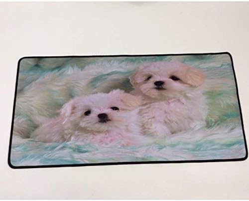 Mass Gainer per cani