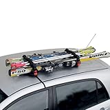Menabo Magnetischer Skiträger Snowboard Dachträger Abschließbar Schwarz 2X