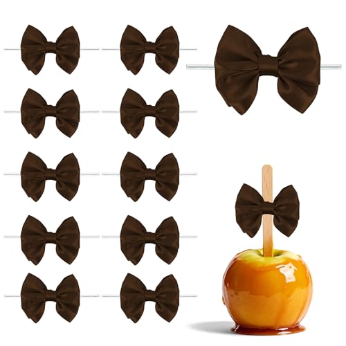 Brown Satin Ribbon Twist Tie Bows for Gift Wrapping 16 Pcs 3.5 Inch Premade Bows for Treat Bags Favor Boxes Crafts Wedding Baby Shower Birthday Party