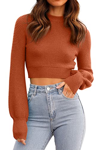 Image of Womens Sexy Crew Neck Cropped Sweaters Knit Long Sleeve Crop Tops Pullover