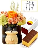 長崎心泉堂 お菓子 ギフト プレゼント 花とお菓子 プリザーブドフラワー 柴犬 オレンジ 和菓子 カステラ セット アニマル 誕生日カード 付き TO53