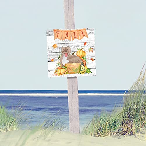 Plaque murale classique en forme de citrouille design rustique - 6
