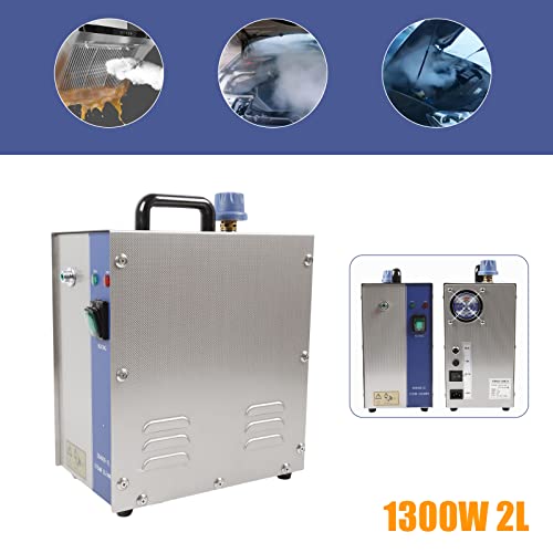 Jewelry Steam Cleaner Machine, 2L 1200W Stainless Steel Jewelry Cleaner Steamer Professional Gold Silver Gemstone Cleaning Steaming Machine Gem Washer Equipment Steam Cleaning Machine 120V