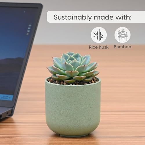 Image of Eha Earth-Friendly Terrapod Planters for Home Decor | 3.5 Inch, Pack of 4 | Small Plant Pot Made with Rice Husk Biocomposite | Flower Pot for Living Room | Celeste