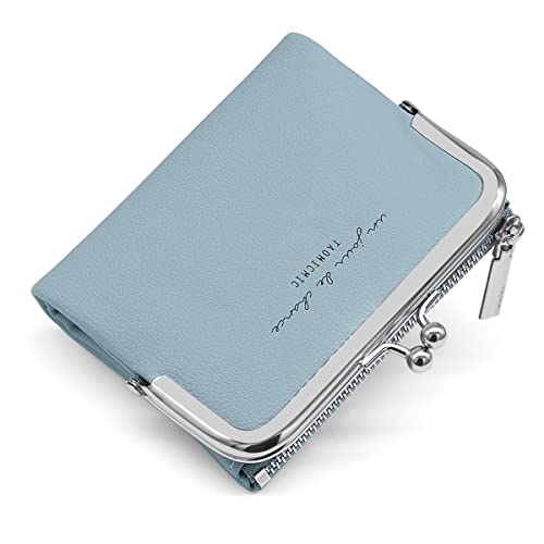 YERUUE Monederos Mujer Cremallera Ultrafina de Cuero PU , con 8 Ranuras para Tarjetas, 1 Bolsillo con Cremallera, 1 Bolsillo para Monedas con Clip, 1 Caja de Efectivo Larga (Azul) Cover