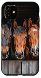 Horse Triple Close-Up