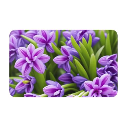 Hyacinth Purple Print Living Room Bathroom Kitchen Anti Slip and Absorbent Carpet, Indoor Entrance Door Muddy Floor Mat, Ultra Soft Washable Carpet 21x31.5 Inches