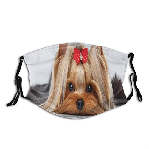 Comfortable Windproof mask,Lying Yorkshire Terrier With Cute Ribbon Yorkie Love Portrait Of A Dog,Printed Facial decorations for adult
