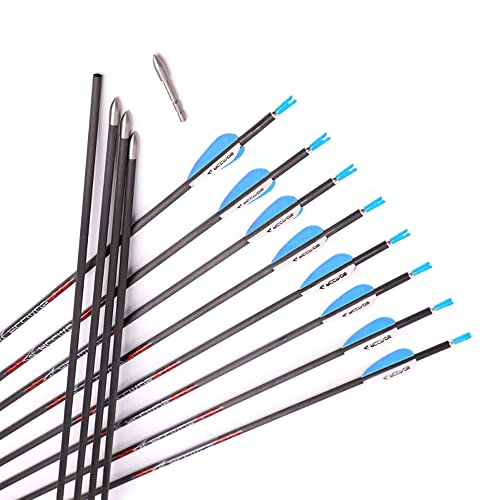 ACCMOS Bogensport Reinem Carbon Pfeil Spine 1000 ID 4,2 mm Jagdpfeil,28inch, für Recurve Bogen Compoundbögen Traditioneller Bogen 12 St (Spine 1000, 28inch)