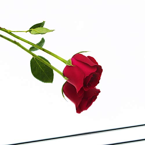 مرآة بدون اطار بطول كامل مقسمة الى مربعات من رومينغ - 12 انش × 4 قطع لغرف النوم والمعيشة