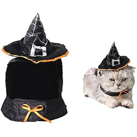 wizard cat costume