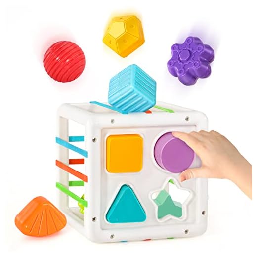 Juguetes de Habilidades Motoras para Bebé 6 9 12 15 Meses, Juegos Montessori Educativos Aprendiendo Caja de Clasificación Sensorial con 6 Piezas Textura Ball y 6 Bolas Blandas Juguetes niños 1 año