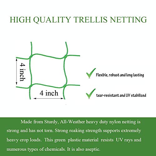 Trellis Netting for Climbing Plants - Heavy Duty Garden Trellis Netting for Cucumber, Vine, Fruits & Vegetables Tomato Plants Trellis Net, Climbing Vining Plants (1-Pack 32.8' x 6.6'Ft) by Miuezuth - Image 3
