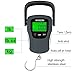 Digital Hanging Luggage Scale with Comfortable Handle and Large Hook, 110lb/50kg, Backlit Portable Scale for Travel Fishing with Tare/Hold Function, AAA Batteries Included, Grey