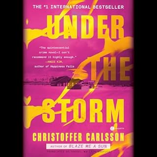 Under the Storm Audiolibro Por Christoffer Carlsson, Rachel Willson-Broyles - translator arte de portada
