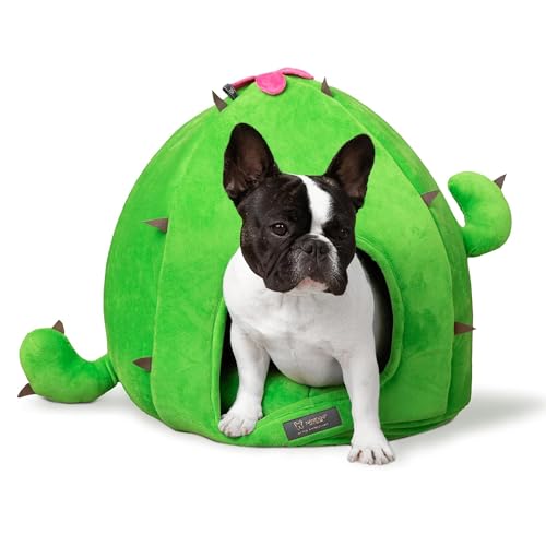 NANDOG Cactus Pet Bed in Green - Ultra Soft Micro Plush Material - Fun & Unique Design with Foam Construction - Ideal for Cats & Small/Medium Dogs