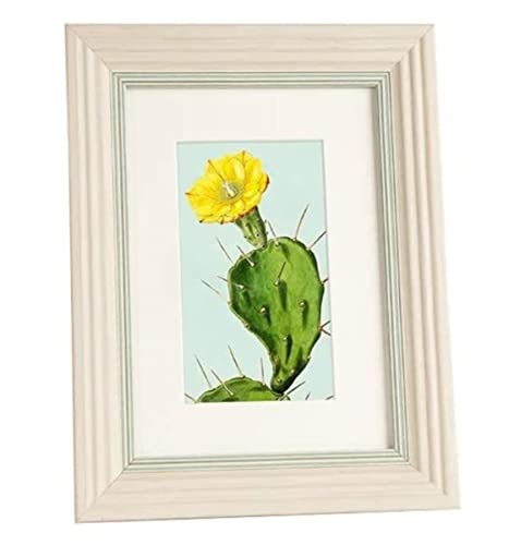 tHgt[ ʐ^ tHgt[ݒzNGCeButHgAot[ݒQ̑ z LO(F,8 inch)