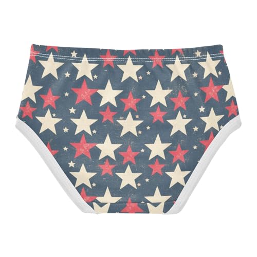 GuoChe Panties All Seasons Panties Briefs Underwear for Kids in Sizes 2T,3T, 4T, 5T, 6Y and 8Y2
