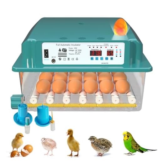 Auveach Incubatrice per Uova Automatica 35W Incubatrice per 36 Uova Gallina Giratura Automatica Controllo Automatico della Temperatura Vassoio Portauova Regolabile Design Elettrico Doppio