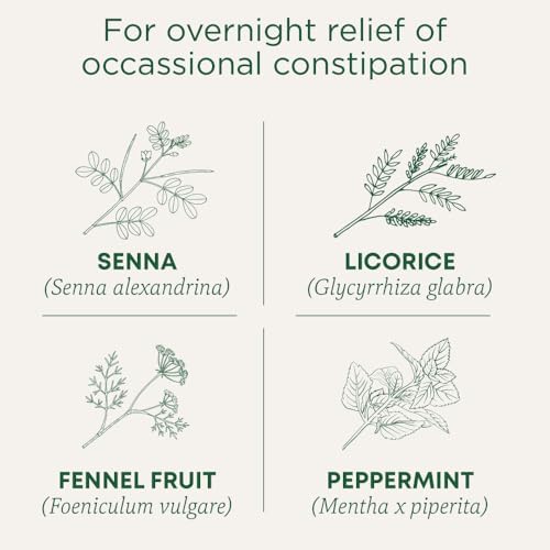 Traditional Medicinals - Organic Spearmint Herbal Tea (Pack of 1) - Refreshing and Minty - 16 Tea Bags Total — view 5