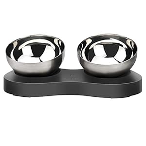 Katzennapf, Futternapf Katze, Fressnapf Katze, Katzennapf Erhöht, Edelstahl Katzen napf 0-20° Winkel Einstellbar, Katzennäpfe Schütze die Halswirbelsäule (600ML x 2, Grau)