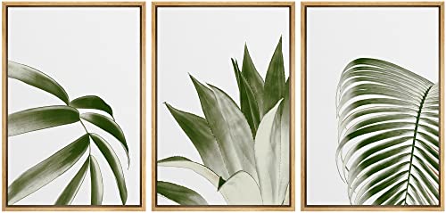 NWT Framed Canvas Print Wall Art Set Overexposed Jungle Leaf & Succulent Trio Nature Plants Illustrations Modern Art Contemporary Scenic for Living Room, Bedroom, Office - 24"x36"x3 Natural