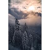 ORIGINE FRANCE GARANTIE : Ce tableau sur toile de haute qualité est certifié Origine France Garantie. Nous fabriquons l'ensemble de nos tableaux muraux dans notre usine près de Lyon.