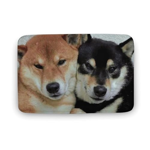 Č  L  oX}bg z/唻 փ}bg  O    ~ Aj LN^[ @}bg   ʏ