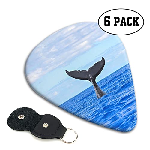Whale Tail Lot de 6 médiators pour guitare acoustique, guitare électrique, basse, ukulélé – fin, moyen et épais. - Les Beatles, Paul McCartney, John Lennon, RIngo Starr, George Harrison Whale Tail Lot de 6 médiators pour guitare acoustique, guitare électrique, basse, ukulélé – fin, moyen et épais. – Image 3