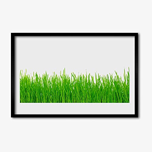 Affiche encadrée d'art botanique 60x40 cadre MDF finition soignée pour intérieur chic