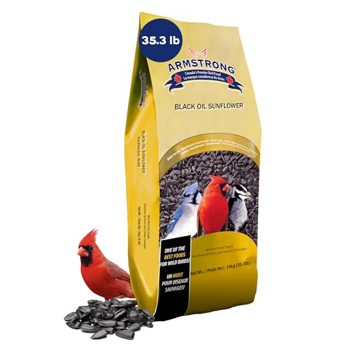 Armstrong Wild Bird Food Black Oil Sunflower Bird Seed, 35.3 Pounds - for Northern Cardinals, Blue Jays and Hairy Woodpeckers - Ideal for Outside Feeders