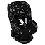 Romantic Leaves Black