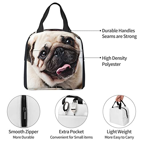 Debou Cool Pug Dog Insulated Lunch Bag Cooler Tote Reusable Leakproof Lunch Box Easy Clean For Work Office Picnic Beach Or Travel #TOP5