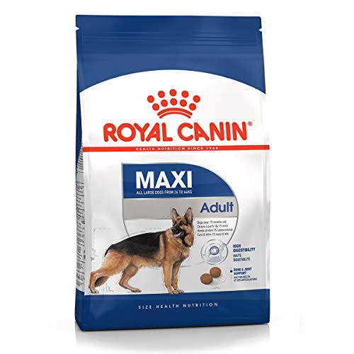 Royal Canin Maxi Adult - Pienso para perros raza grande 10Kg