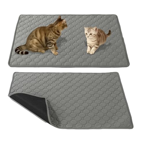 Cxiskyu pybgV[g | 􂦂Lp}bg,Rh~ Lp  O ^ ^ ^ q qL P[W  s vCpΉ