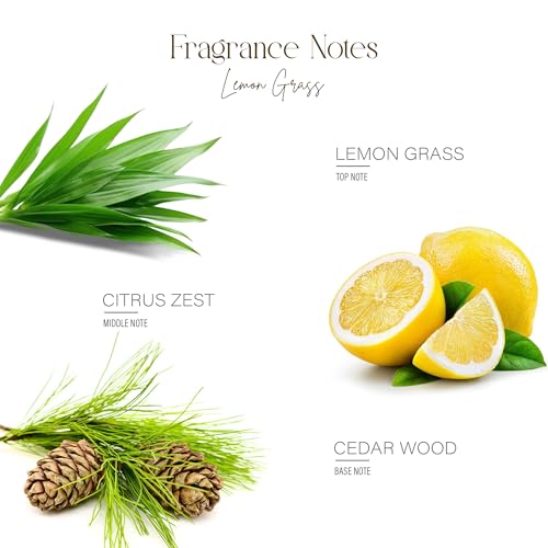 Image of BSOUL Air Freshener Spray 100 ML Pack Of 2 Lemongrass | Calming Floral Room & Nature Inspired Fragrance for Car Non-Toxic & Long-Lasting Room Freshener