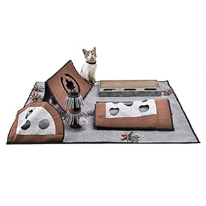 CanadianCat Company | Katzenspielteppich Coleen, Intelligenzspielzeug für Katzen, interaktive Beschäftigung für Katzen Spielteppich, Spielmatte, grau/braun, 110 x 90 cm