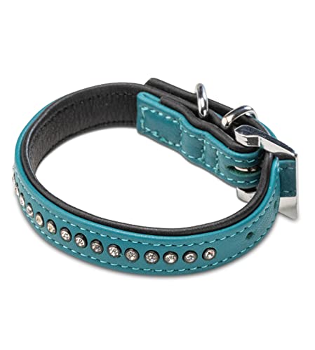 Hundehalsband aus Echt-Leder mit Strasssteinen/Kristall besetzt – funkelndes Hunde und Katzen Halsband aus gepolsterten und doppellagigen Büffelleder - Lederhalsband Audrey (S (20.0-27.5cm), Türkis)
