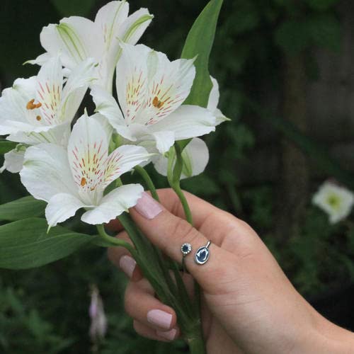 Stone Armory Penn State University Ring For Women | Lion Penn State Jewelry | Penn State University Nittany Lions Class Ring | Perfect Penn State Gift For Fans, Students, Alumni | Adjustable In Size Penn State Nittany Lions Ring #TOP3