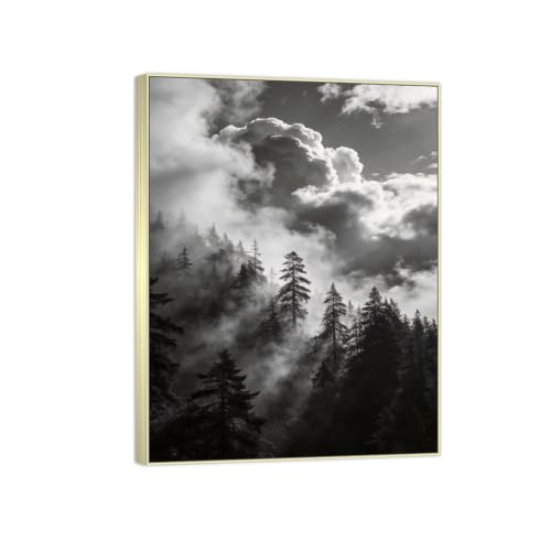 Tableau arbre nuages noir et blanc 80x105cm pour habiller un grand mur vide