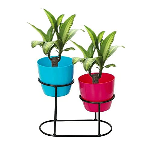 BRINDAVANA ENGINEERS an ISO 9001-2015 Certified company for QMS.Unique Design Iron Indoor and Outdoor Pot Stand with Oval Shape Base for Holding of 11 cms 2 pots (Black Pack of 1) (B095NZT3M8) Amazon Price History, Amazon Price Tracker