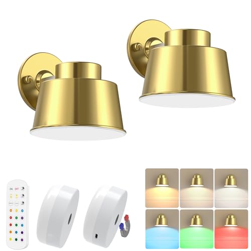 AIBOO Art Display Lights, Picture Lights Rechargeable Gold, Color Changing & Dimmable with Remote LED Rotatable Wall Lights for Pictures, Paintings, Portraits, Artworks (2 Pack)