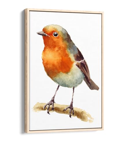 Cadre Photo Art Oiseau Robin 50,8x76,2 cm en Chêne Clair