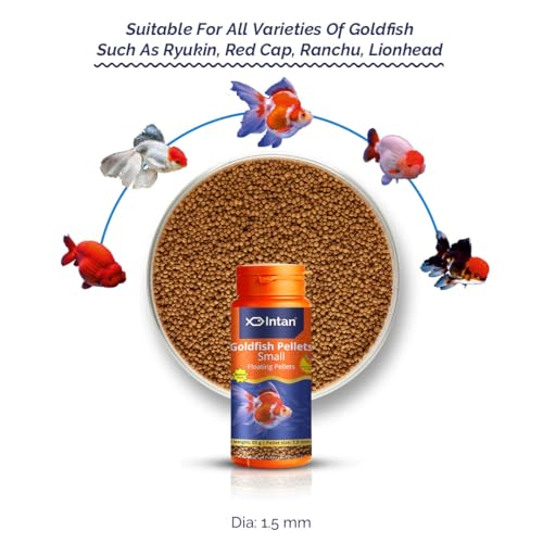 Image of Intan Goldfish Pellets Fish Food | Small Floating Pellets for Fish | Daily Nutrition Fish Feed for Health & Growth |Big Pouch 1 Kg Pellet Size - 1.5 mm Dia