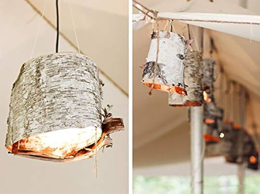 Amazon.co.jp: 天然白樺の樹皮 10枚 12インチ x 12インチ