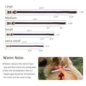 Guiding Star Leather Dog Collar and Leash Set 5ft Heavy Duty Dog Leash with Adjustable Dog Collar Brown Training Dog Leash and Collar for Small Medium Large Dogs (5 Foot*1/2";14"*1/2" ) Guiding Star Leather Dog Collar and Leash Set 5ft Heavy Duty Dog Leash with Adjustable Dog Collar Brown Training Dog Leash and Collar for Small Medium Large Dogs (5 Foot*1/2″;14″*1/2″ )