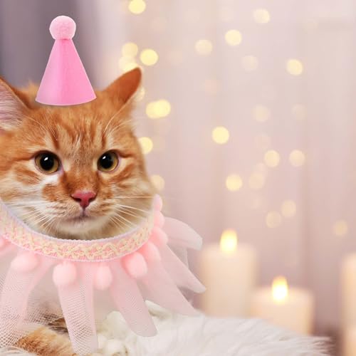 Conjunto de cachecol de chapéu de aniversário de gato rosa, bandana, gato, princesa, lindo, bandana