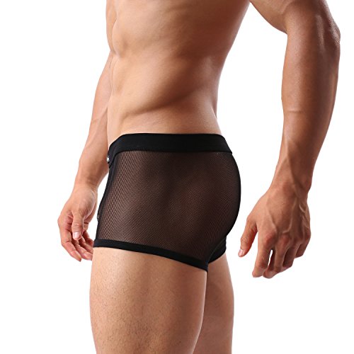 Evankin Men's Underwear Sexy Mesh Breathable Boxer Briefs Low Rise Cool Valentines Boxers Pack Set